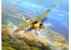 CR. 42 Falco - WWII Italian Fighter Plane
