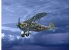 CR. 42 LW - WWII German Luftwaffe Ground Attack Aircraft
