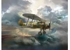 Gloster Gladiator Mk.I - WWII British Fighter