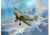 Gloster Gladiator Mk.II - WWII British Fighter Plane