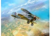 Gloster Sea Gladiator Mk.II - WWII British Naval Fighter Plane