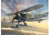 J-8 Gladiator - WWII Swedish Fighter Plane