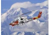AH-1G Arctic Cobra - U.S. Helicopter