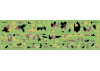 Chevrons of Personnel & Camouflage of Military Vehicles of the Ukrainian Army
