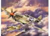 Spitfire Mk.VIII - WWII USAAF Fighter