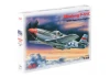 Mustang P-51C - WWII American Fighter