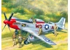 Mustang P-51D with USAAF Pilots and Ground Personnel