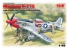 Mustang P-51D with USAAF Pilots and Ground Personnel