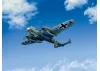 Do 215 B-4 - WWII German Reconnaissance Plane