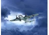 Do 217J-1/2 - WWII German Night Fighter