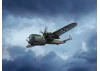 Do 217M-1 - WWII German Bomber