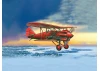 I-5 (early) - Soviet Biplane Fighter