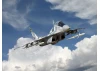 Radar Hunter - MiG-29 9-13Ukrainian Fighter with HARM missiles
