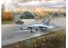 MiG-25 RBF - Soviet Reconnaissance Plane