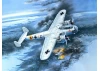 Do 17Z-2 - WWII German Bomber