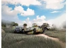 Battle of France - spring 1940. French combat vehicles (Panhard 178 AMD-35 - FCM 36 - Laffly V15T)