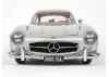 Mercedes 300 SL Silver 1:8 Scale Full Metal Kit