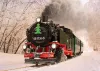 LGB DR Steam Loco Road Number 99 1734-5 SDG Era VI