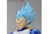 Figure-Rise Standard Super Saiyan Broly Full Power