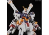 RG 1:144 Crossbone Gundam X1