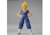 Figure-Rise Standard Super Saiyan Vegetto (PKG Renewal)