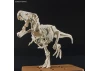 Plannosaurus Tyrannosaurus