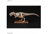 Plannosaurus Tyrannosaurus
