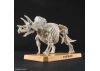Plannosaurus Triceratops