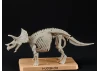 Plannosaurus Triceratops