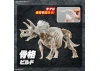 Plannosaurus Triceratops