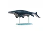 Plannosaurus Mosasaurus