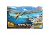 HGUC 1:144 Zee Zulu