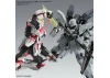 MG 1:100 Narrative Gundam C-Packs Version Ka