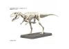 Plannosaurus Giganotosaurus