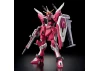 HG 1:144 Infinite Justice Gundam Type II