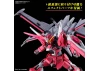 HG 1:144 Infinite Justice Gundam Type II