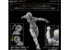 30MF Liber Knight