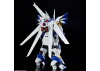 HG Weissritter