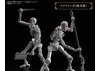30MF DLRO Skeleton