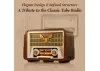 Retro Radio - 811 pcs