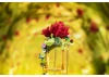 Le Petit Prince™ Rose Swing - 234 pcs