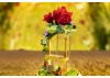 Le Petit Prince™ Rose Swing - 234 pcs