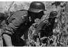 Zvezda German Regular Infantry 1939-43