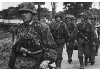 Zvezda German Elite Troops 1939-43