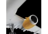 Zvezda Airbus A321 Ceo