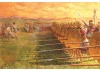 Zvesda Carthagenian Infantry