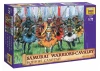 Zvesda Samurai Warriors
