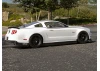 Ford Mustang 2011 Clear Bodyshell (200mm)
