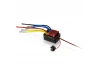 Hobbywing Quicrun 880 Dual Motor Brushed 80A Waterproof ESC