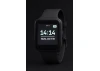 IWI Pit Watch
